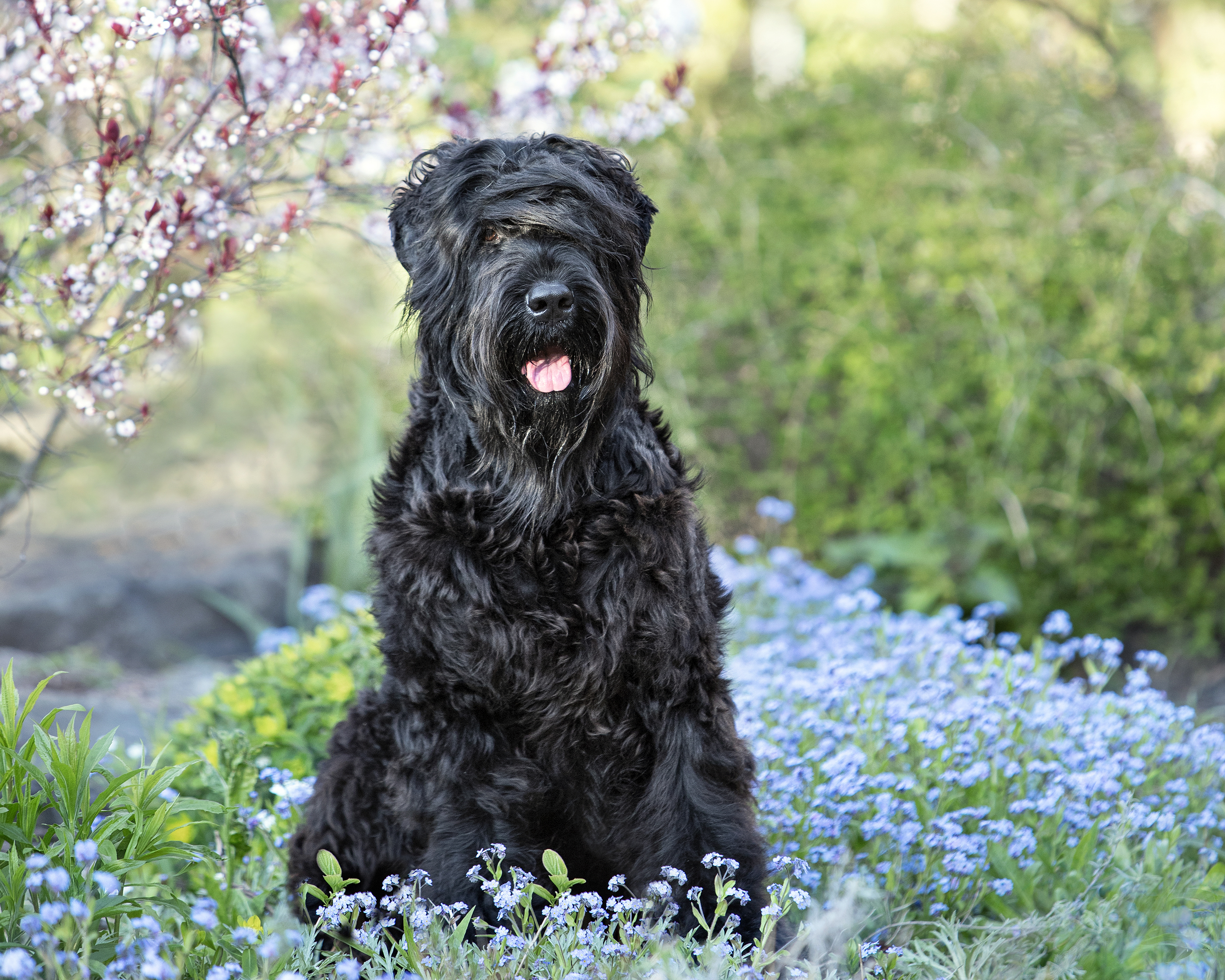 Slideshow sample 14